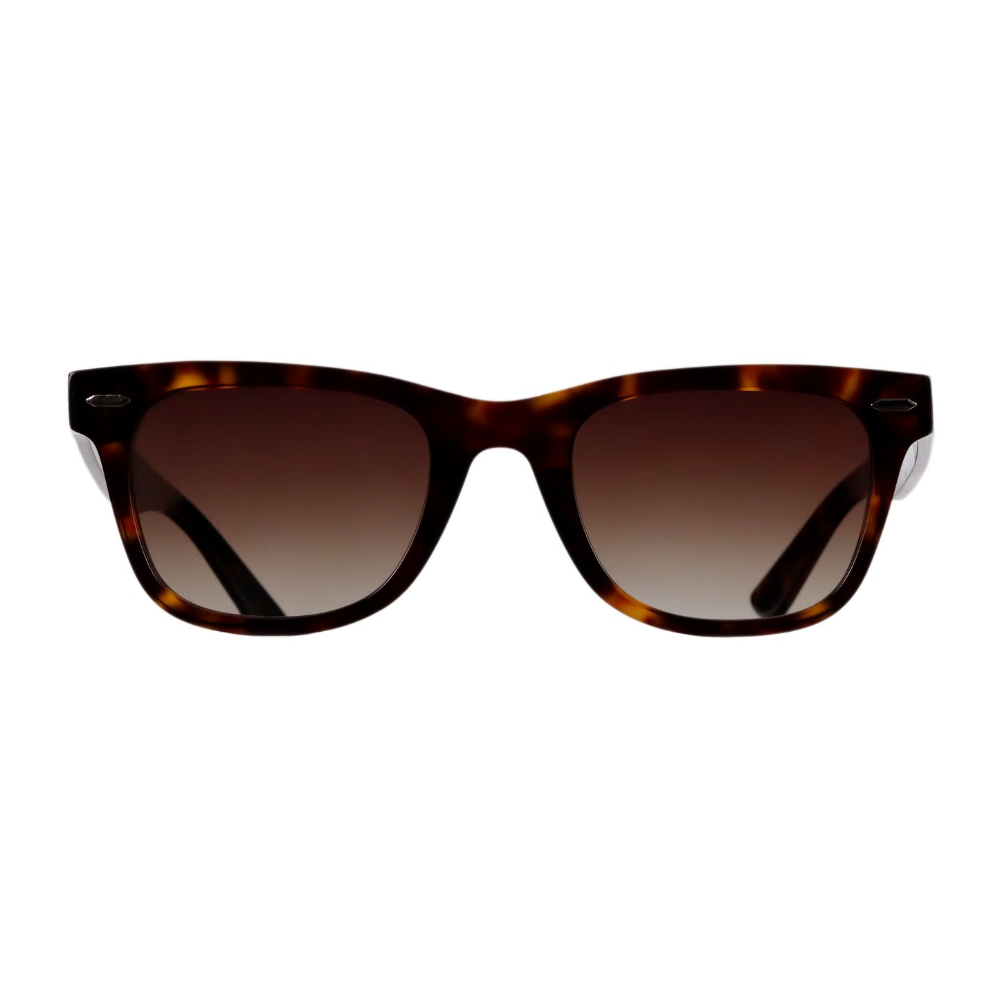 VO Wayfarer Tortoise Unisex Sunglasses